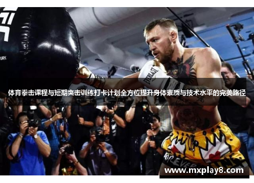 体育拳击课程与短期突击训练打卡计划全方位提升身体素质与技术水平的完美路径